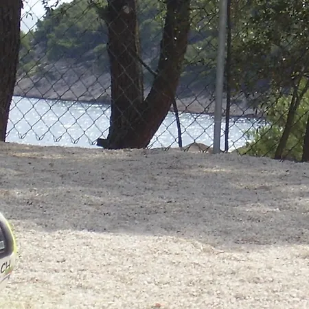 Villa Ivas Milna (Brac)